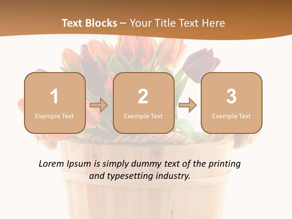 Orange Sauna Bucket PowerPoint Template
