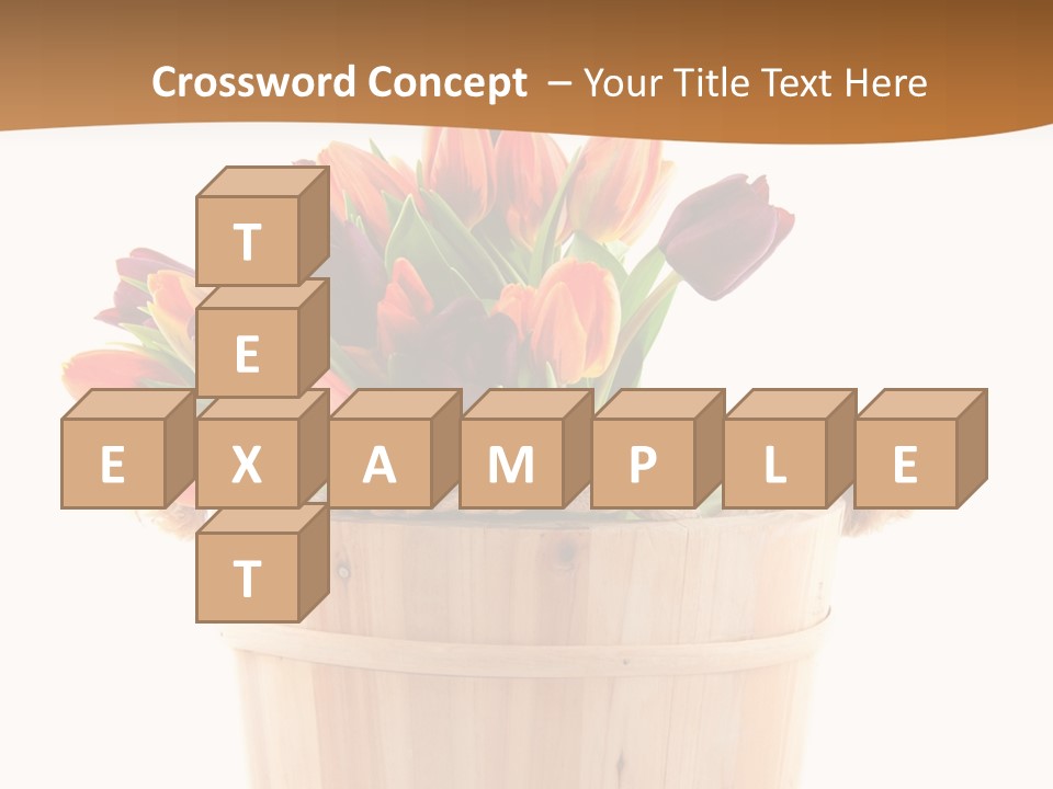 Orange Sauna Bucket PowerPoint Template