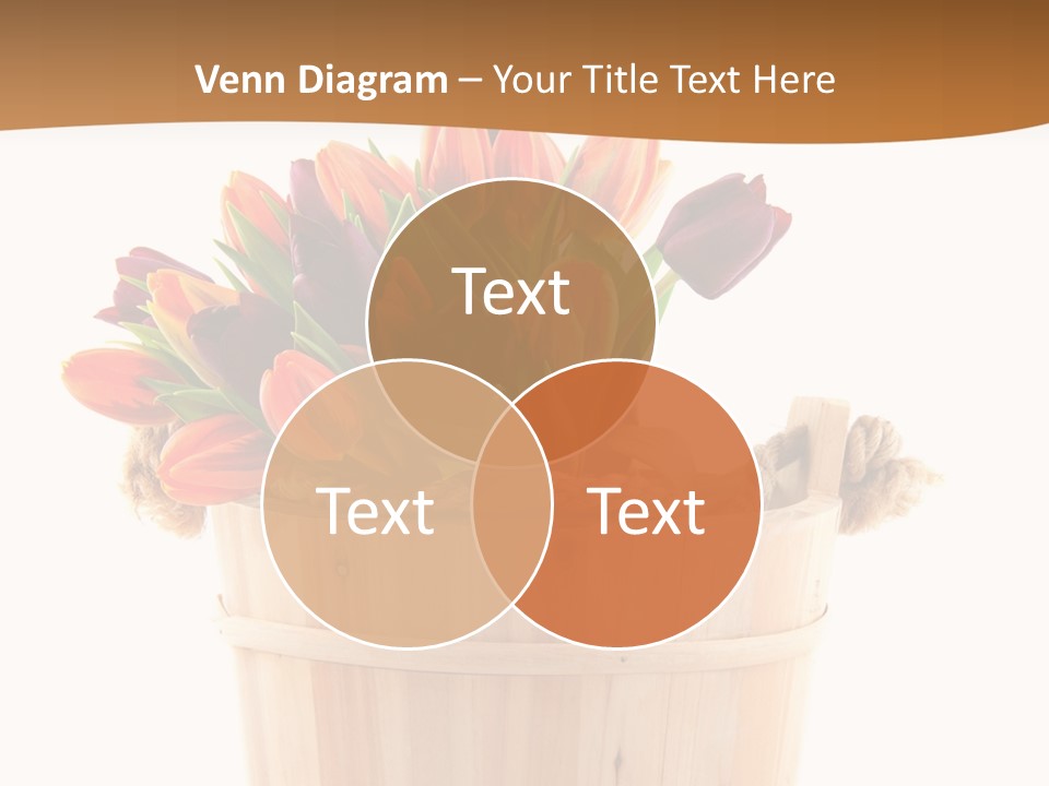 Orange Sauna Bucket PowerPoint Template