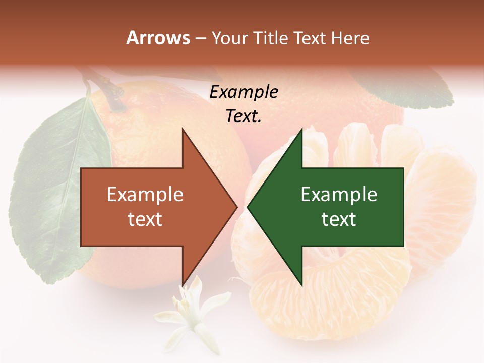 Food Health Leaf PowerPoint Template