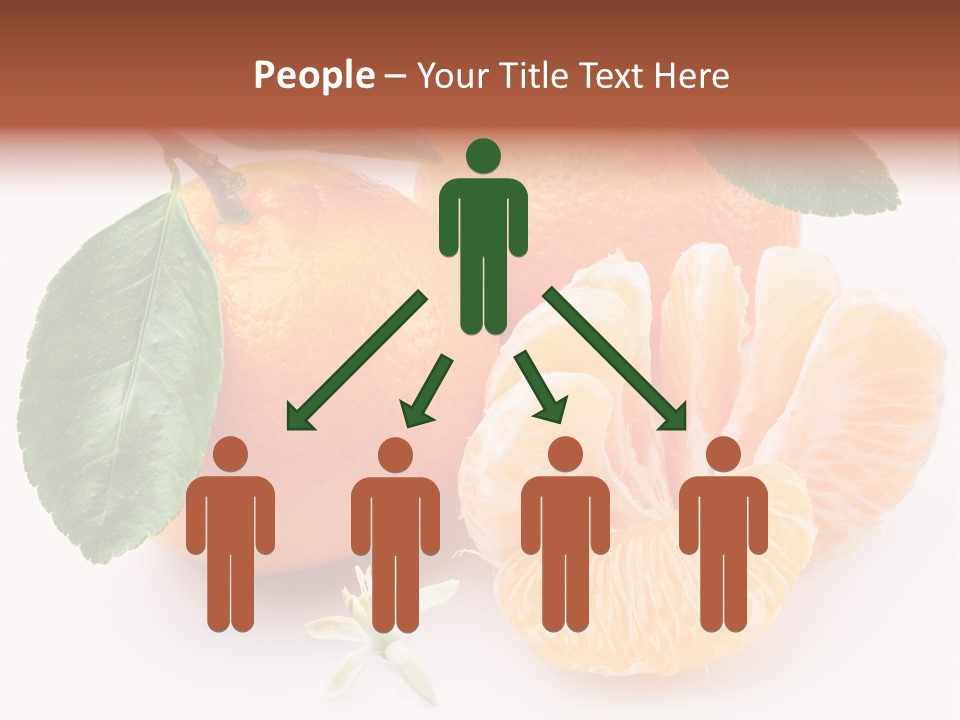 Food Health Leaf PowerPoint Template