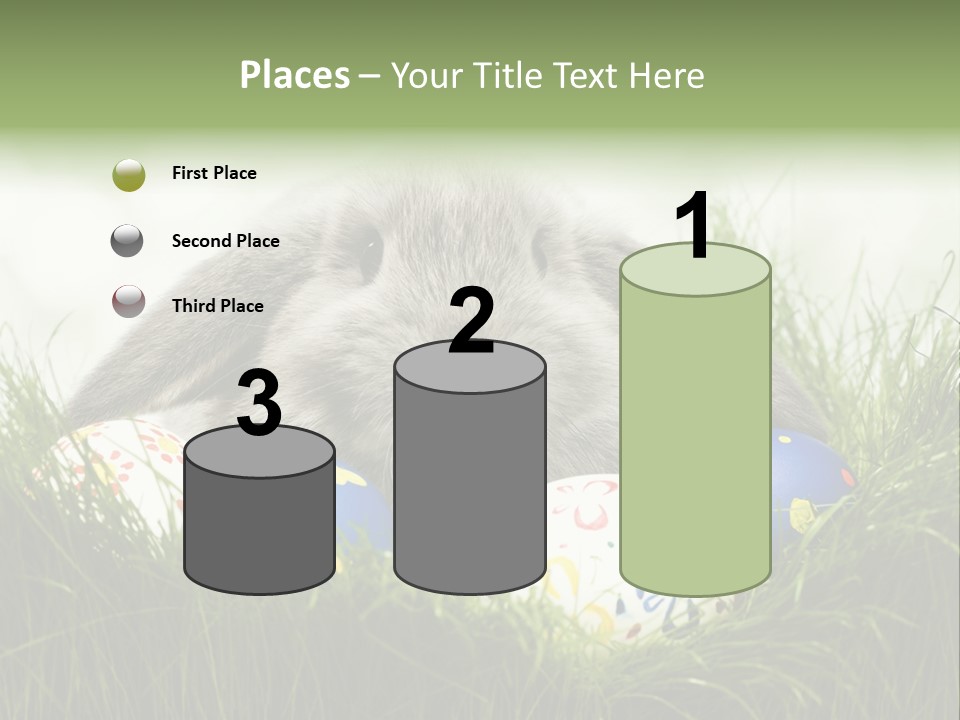 Eggs Young Color PowerPoint Template