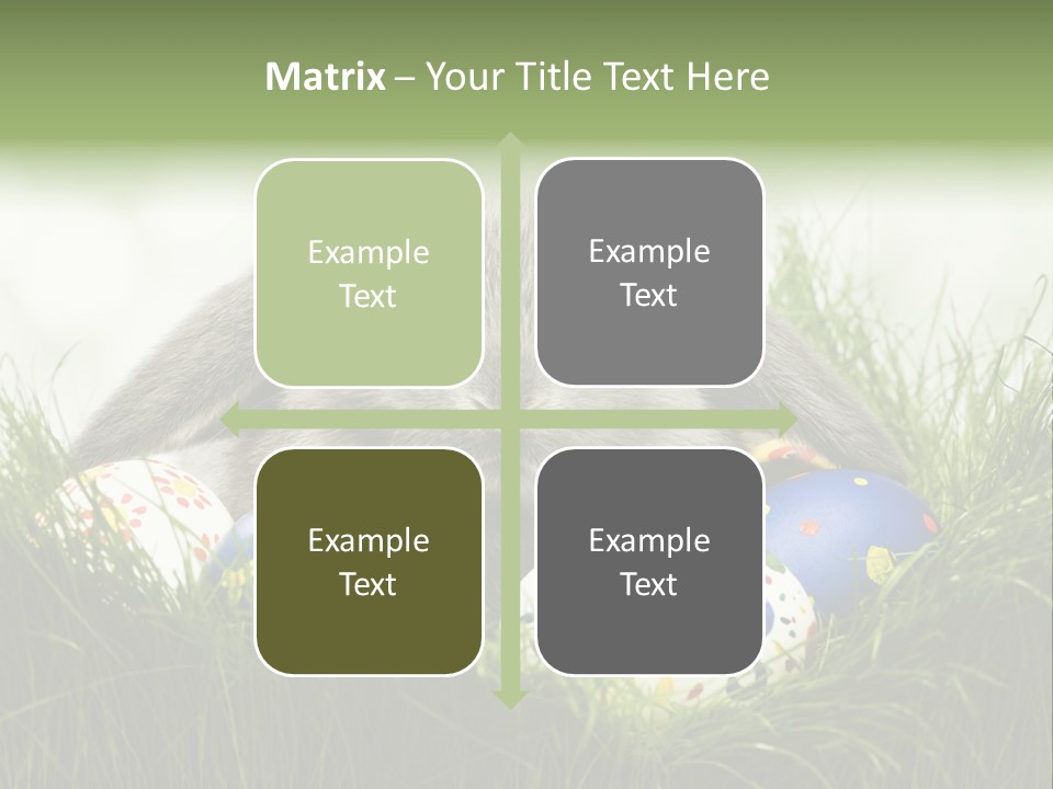 Eggs Young Color PowerPoint Template