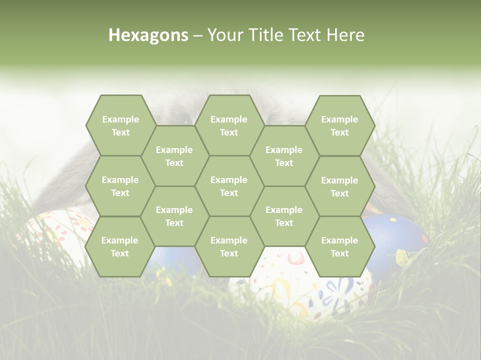 Eggs Young Color PowerPoint Template