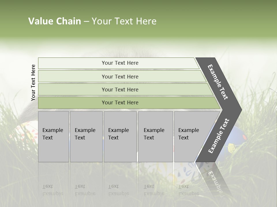 Eggs Young Color PowerPoint Template