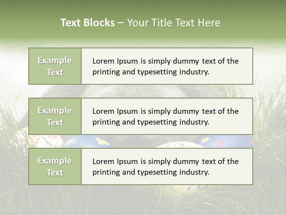 Eggs Young Color PowerPoint Template