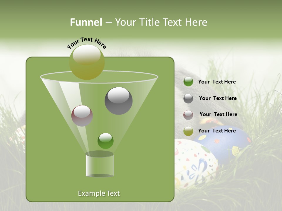 Eggs Young Color PowerPoint Template