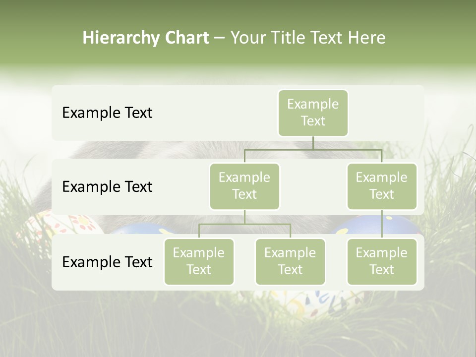 Eggs Young Color PowerPoint Template