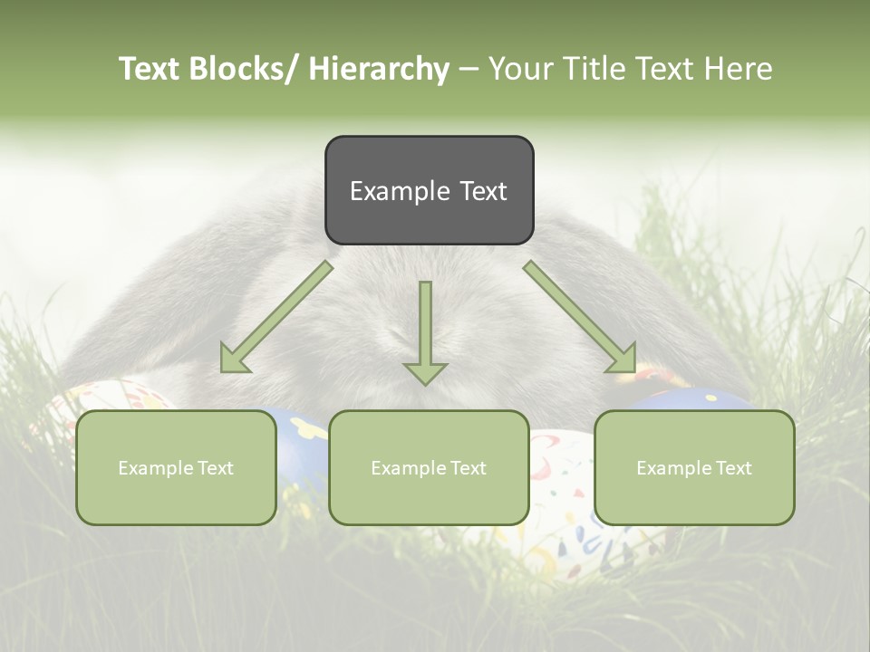 Eggs Young Color PowerPoint Template