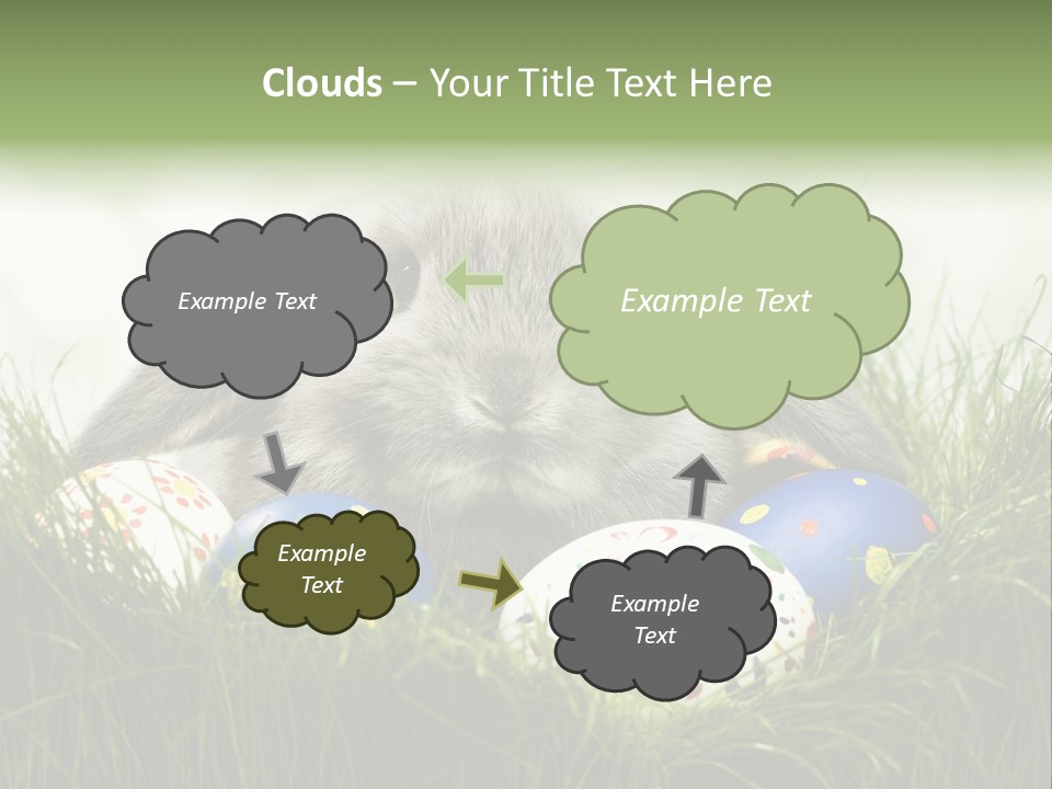 Eggs Young Color PowerPoint Template