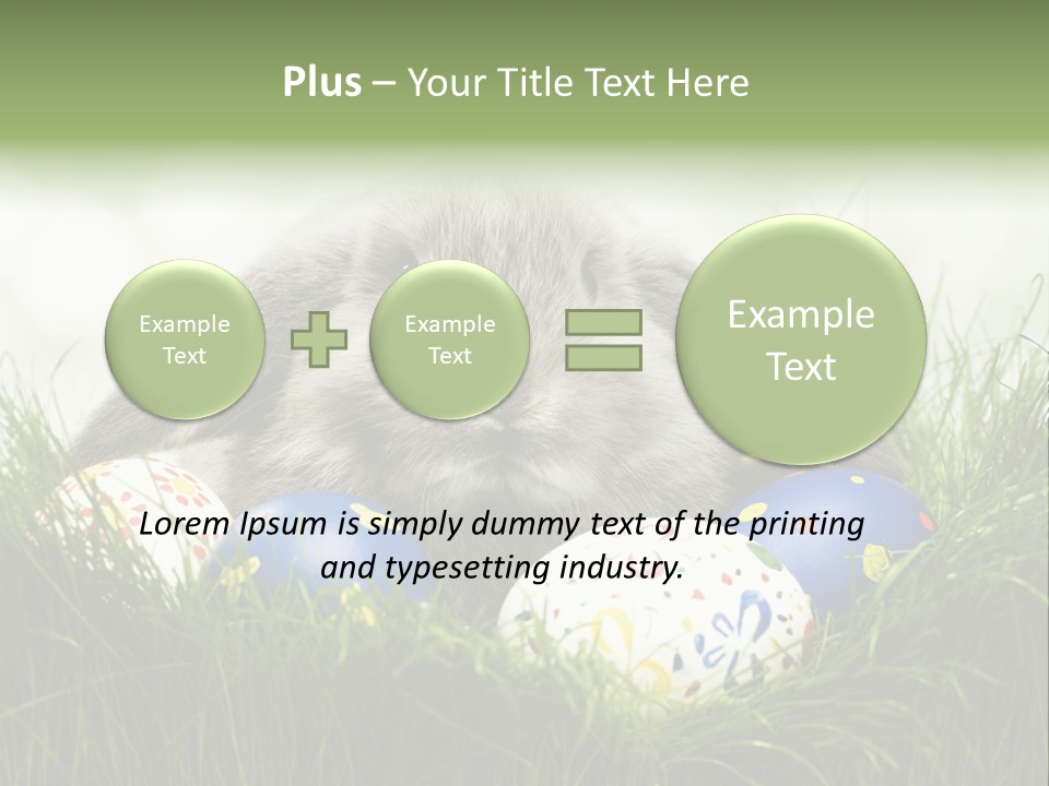 Eggs Young Color PowerPoint Template