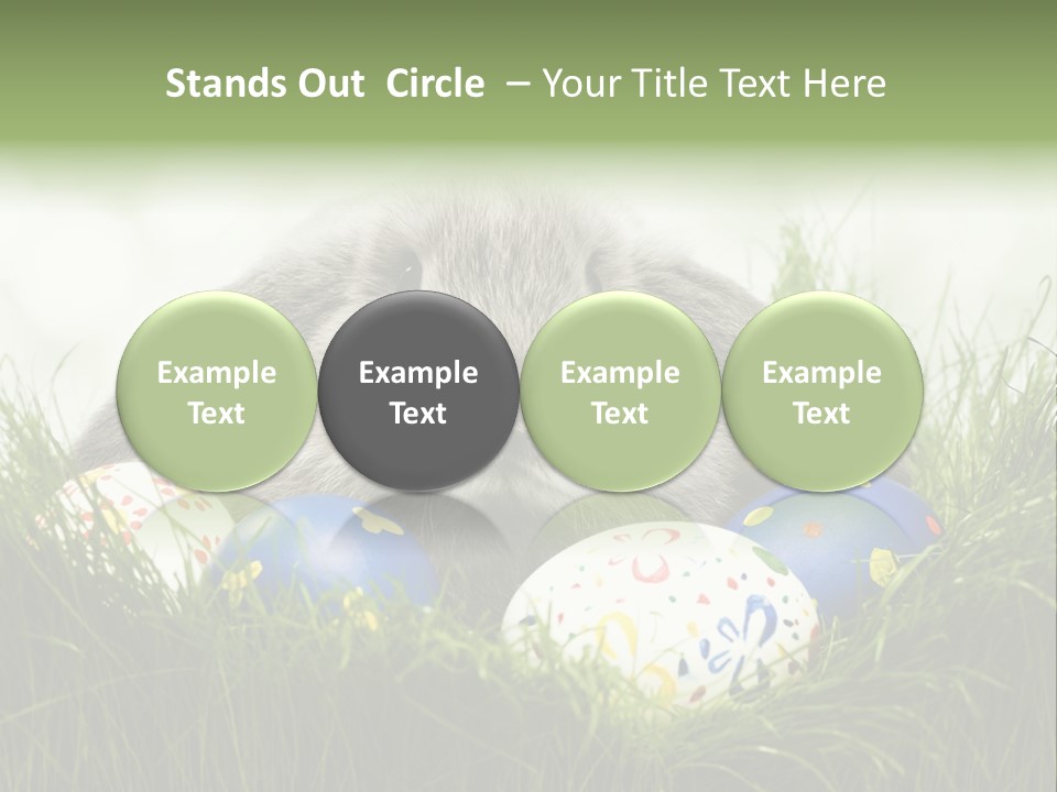 Eggs Young Color PowerPoint Template