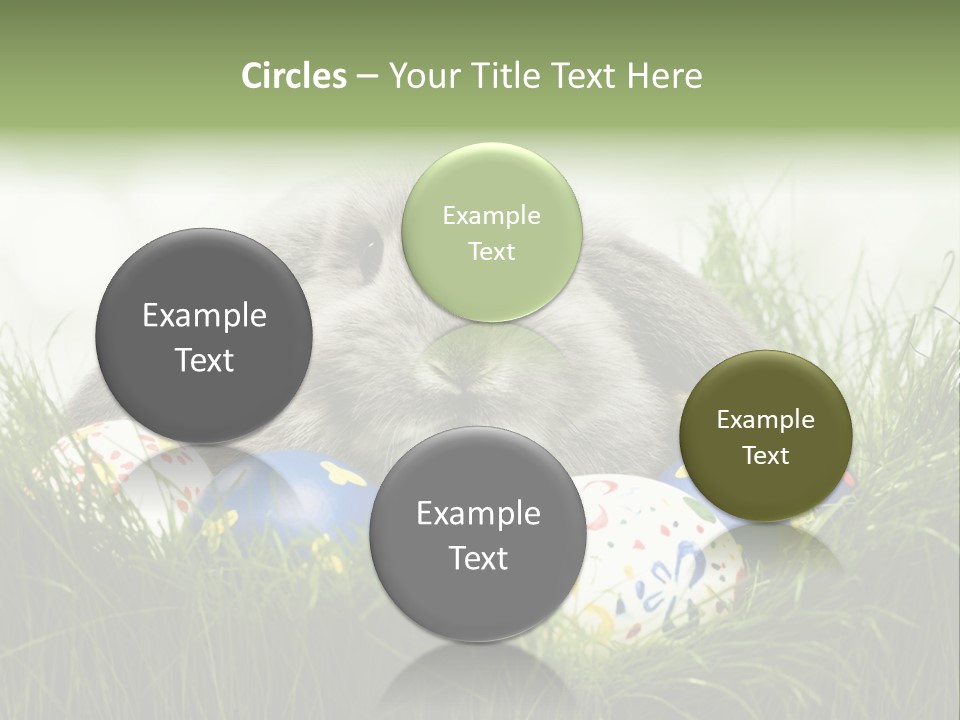 Eggs Young Color PowerPoint Template