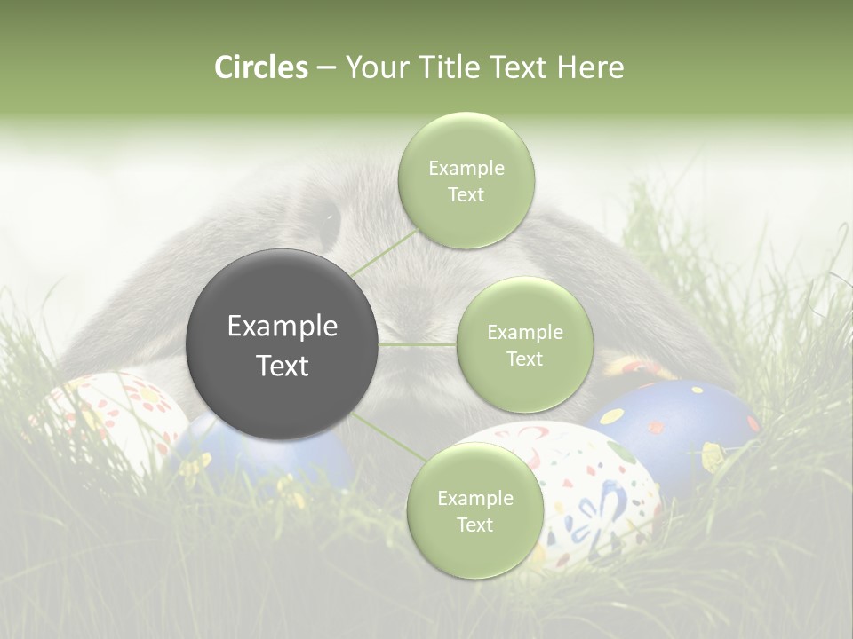 Eggs Young Color PowerPoint Template