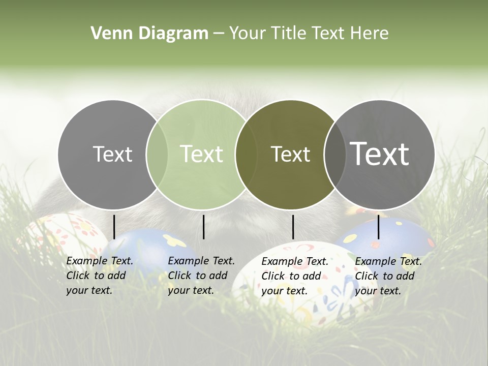 Eggs Young Color PowerPoint Template