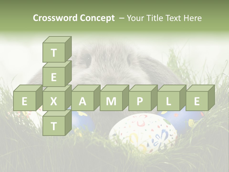 Eggs Young Color PowerPoint Template