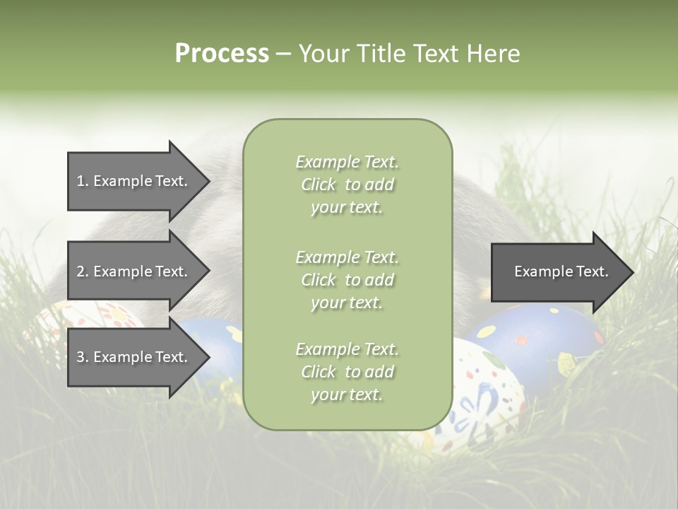 Eggs Young Color PowerPoint Template
