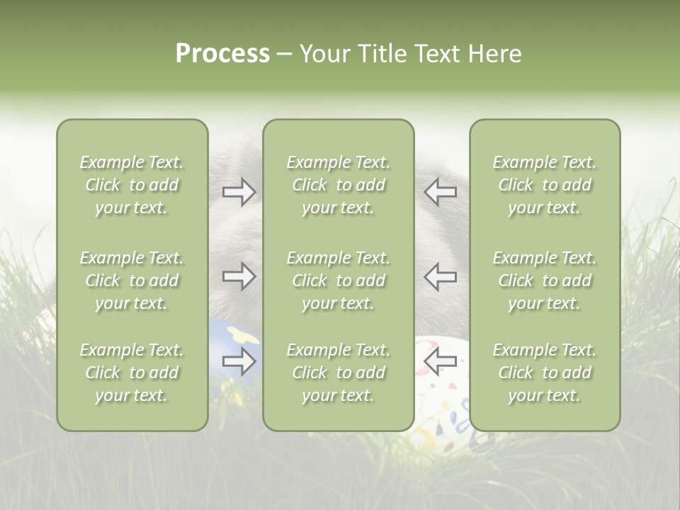 Eggs Young Color PowerPoint Template