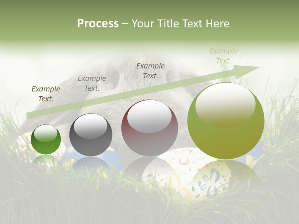 Eggs Young Color PowerPoint Template