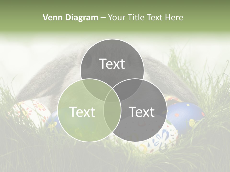 Eggs Young Color PowerPoint Template