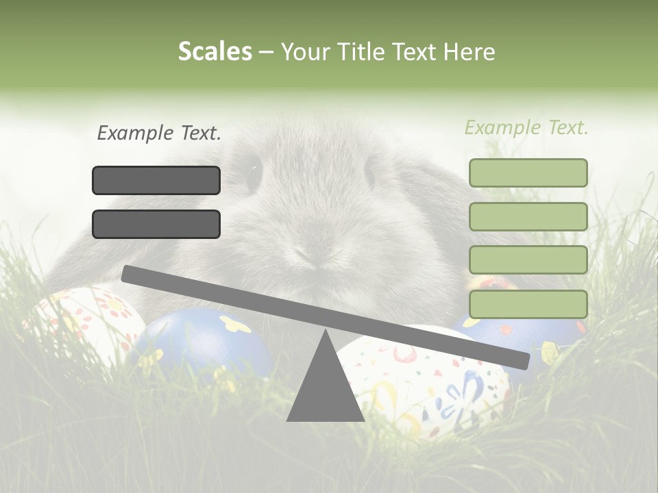 Eggs Young Color PowerPoint Template