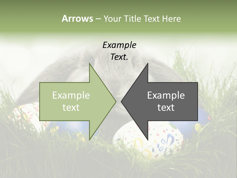 Eggs Young Color PowerPoint Template