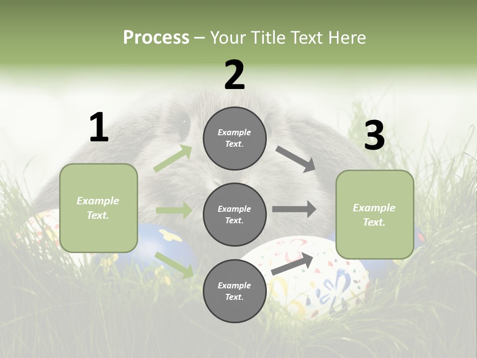 Eggs Young Color PowerPoint Template