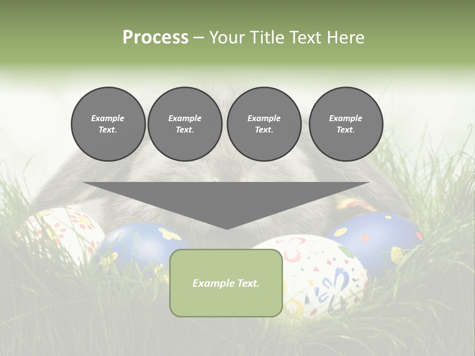 Eggs Young Color PowerPoint Template
