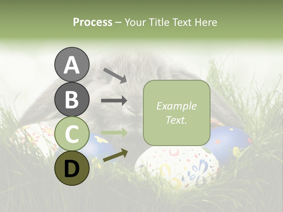 Eggs Young Color PowerPoint Template