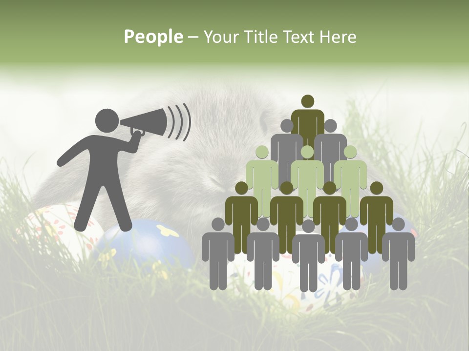 Eggs Young Color PowerPoint Template