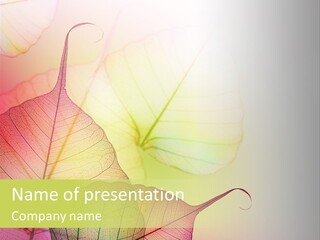 Backdrop Decorative Environmental PowerPoint Template