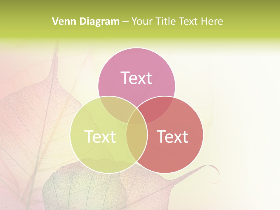 Backdrop Decorative Environmental PowerPoint Template