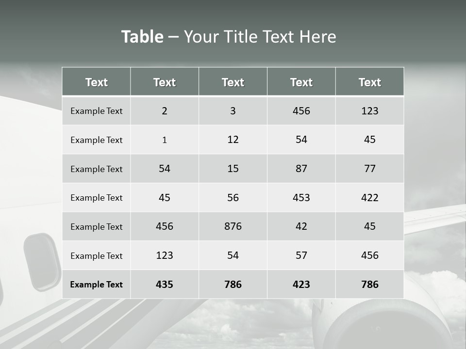 Aviation Vacation Trip PowerPoint Template