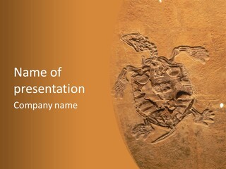 Wilderness Fossil History PowerPoint Template