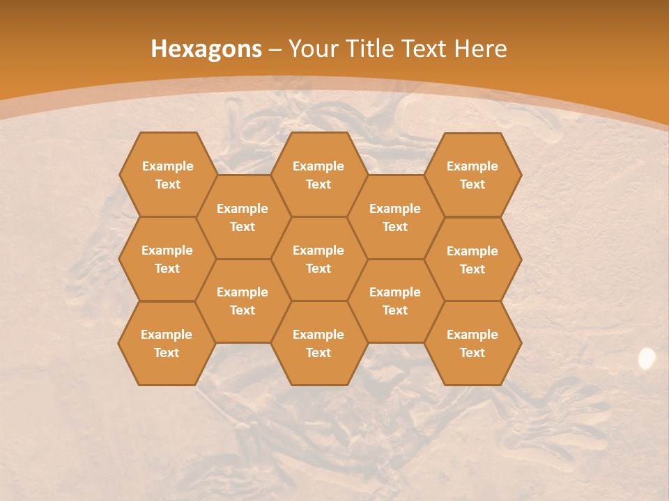 Wilderness Fossil History PowerPoint Template