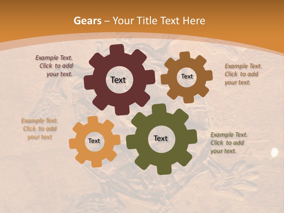 Wilderness Fossil History PowerPoint Template