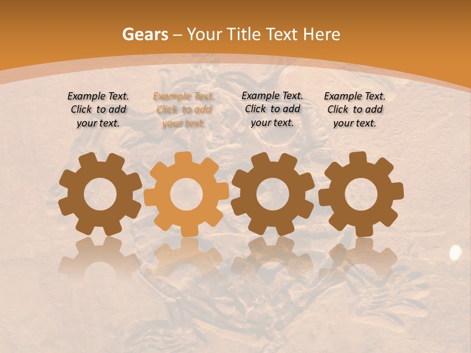 Wilderness Fossil History PowerPoint Template