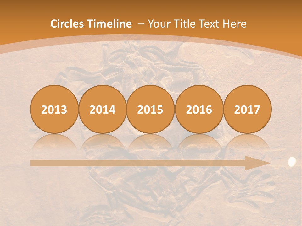 Wilderness Fossil History PowerPoint Template