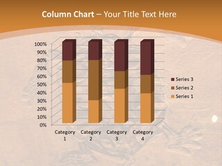 Wilderness Fossil History PowerPoint Template