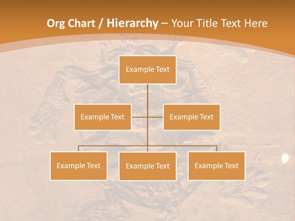 Wilderness Fossil History PowerPoint Template