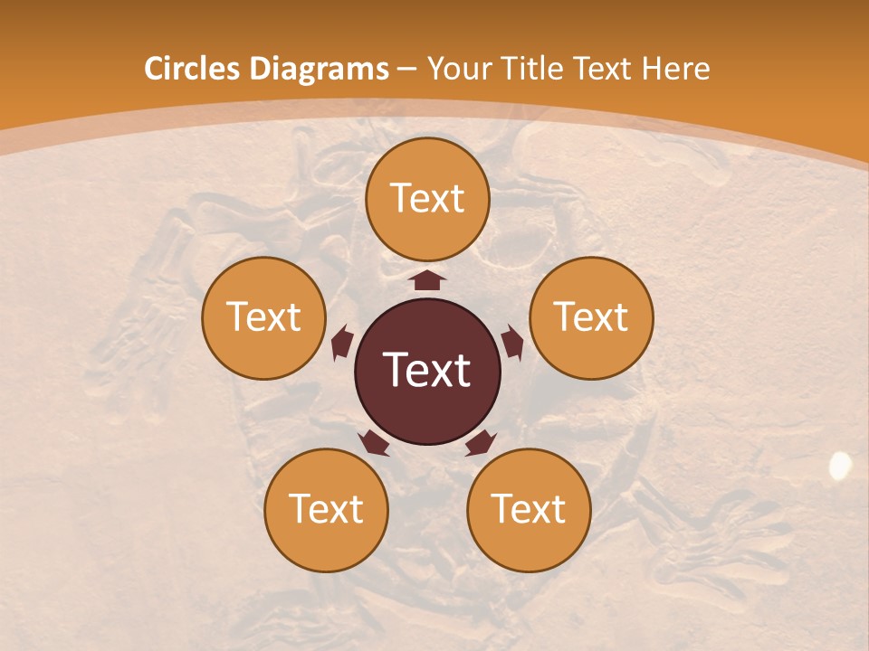 Wilderness Fossil History PowerPoint Template