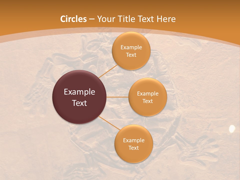 Wilderness Fossil History PowerPoint Template