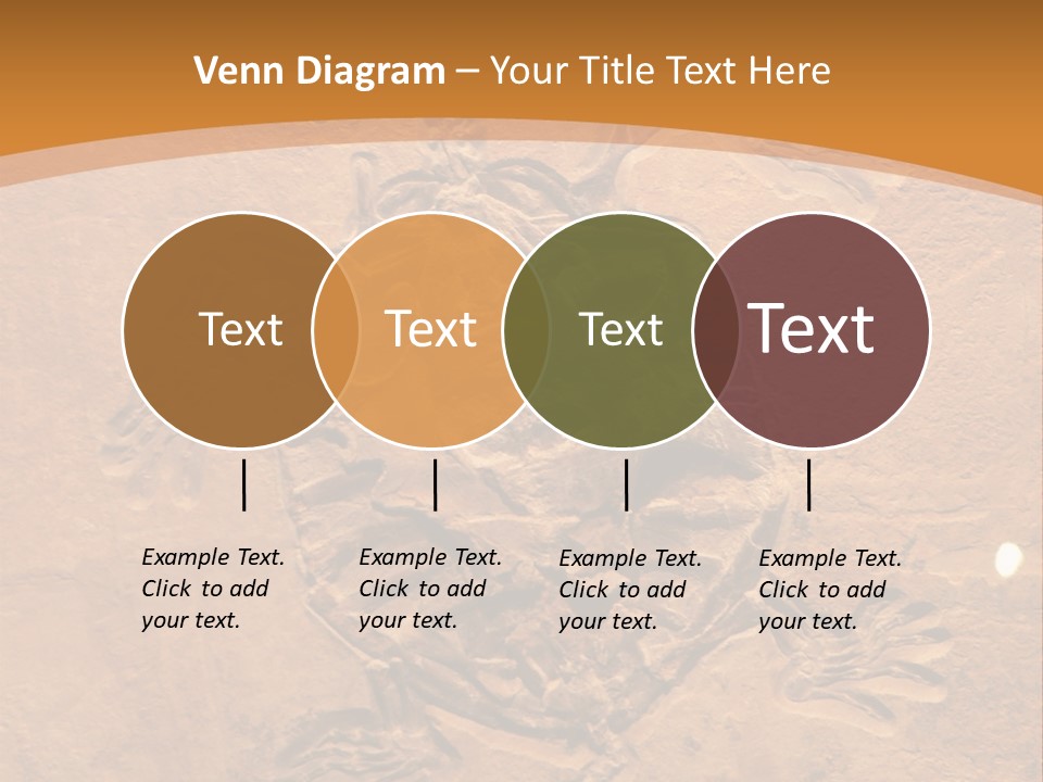 Wilderness Fossil History PowerPoint Template