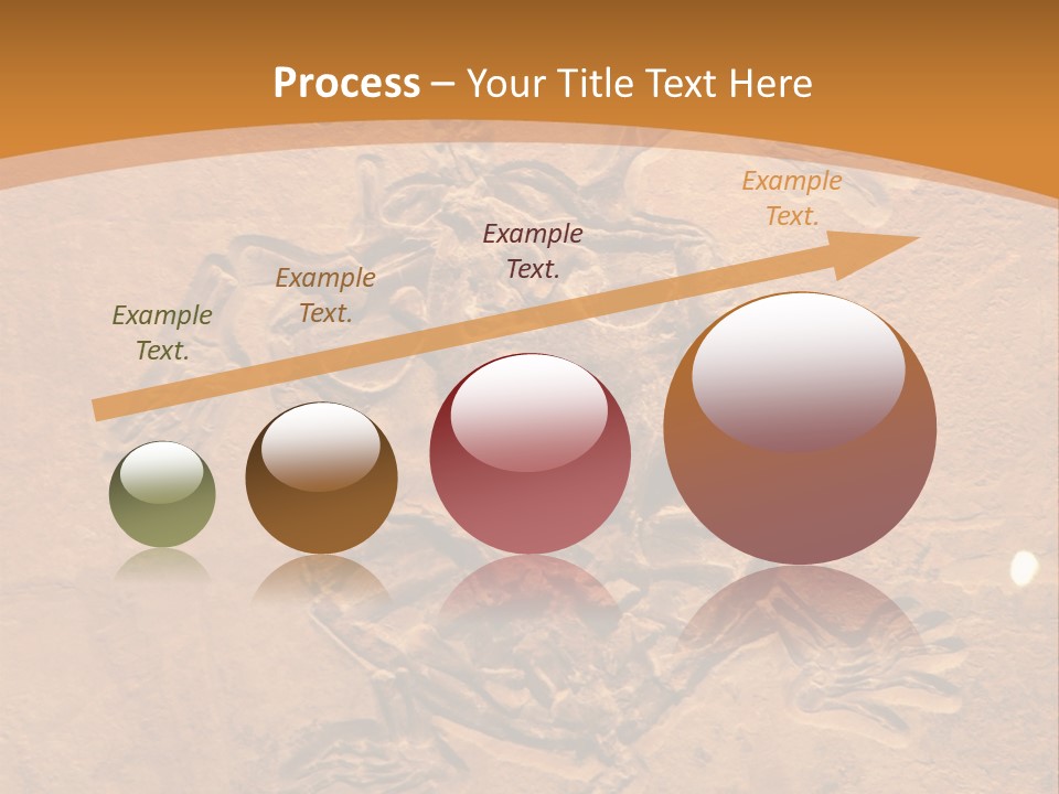 Wilderness Fossil History PowerPoint Template