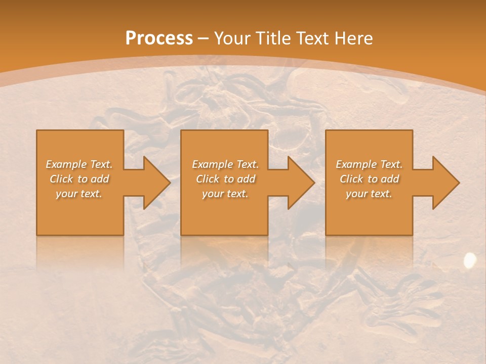 Wilderness Fossil History PowerPoint Template