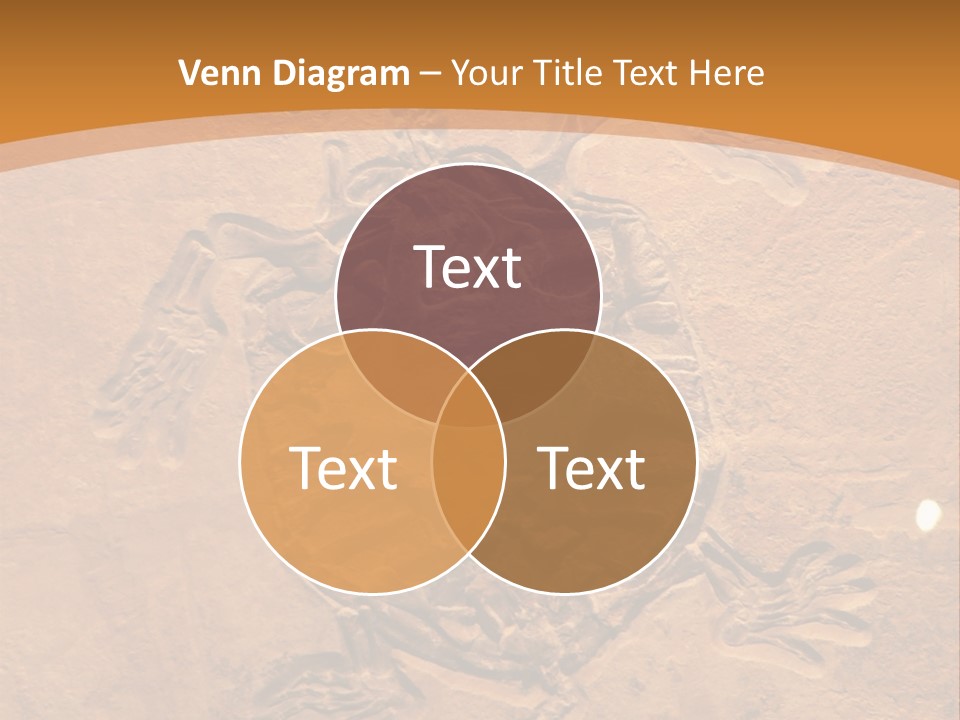 Wilderness Fossil History PowerPoint Template