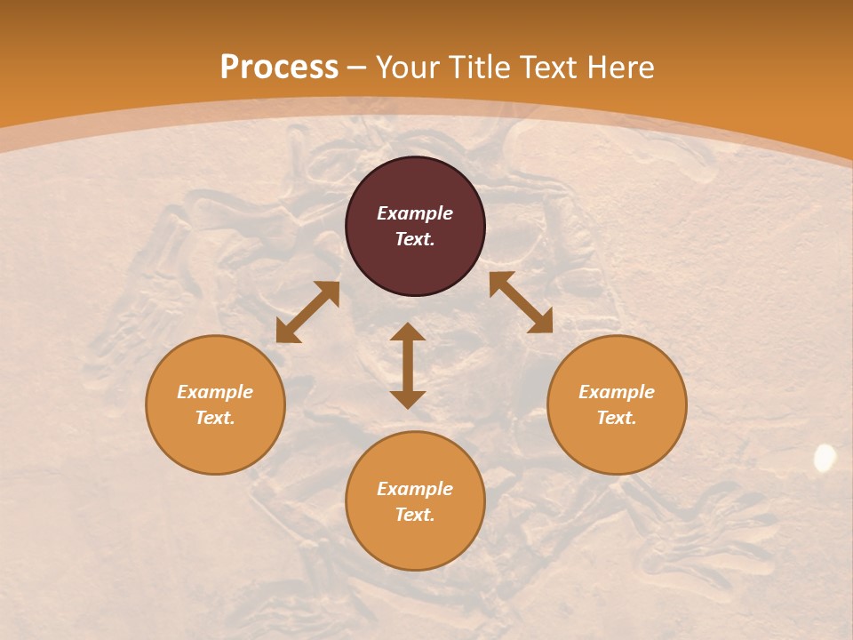 Wilderness Fossil History PowerPoint Template