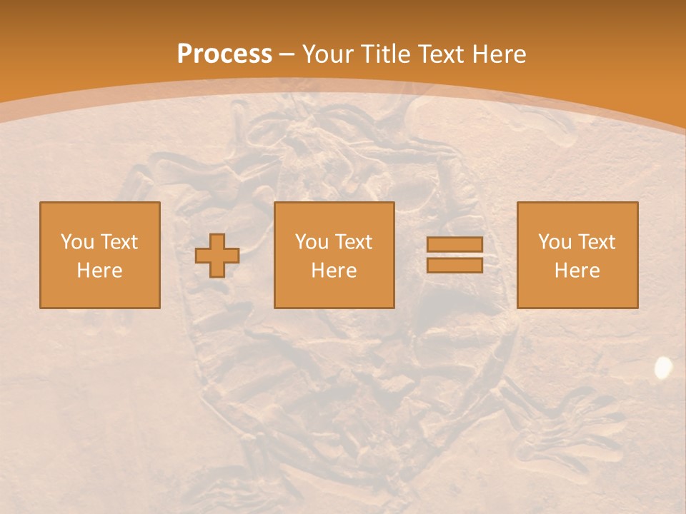 Wilderness Fossil History PowerPoint Template