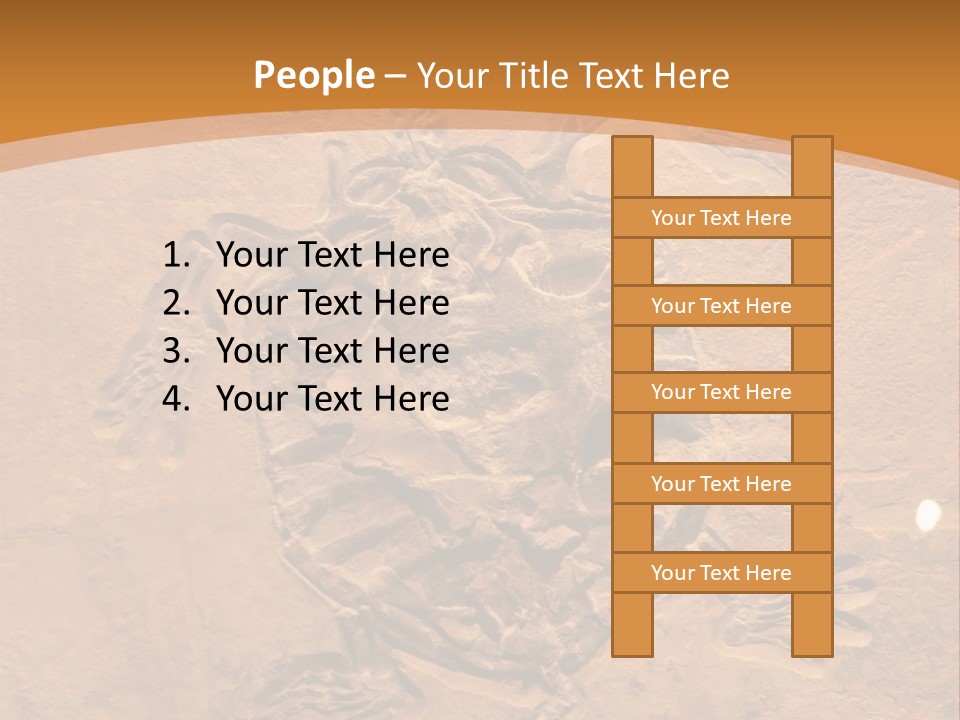 Wilderness Fossil History PowerPoint Template