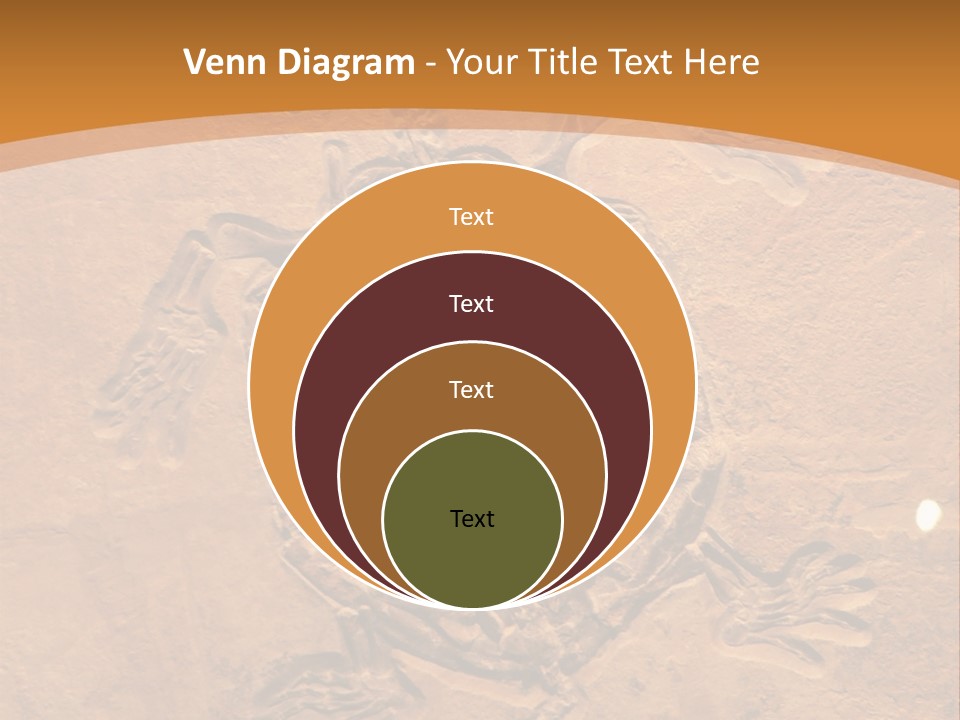Wilderness Fossil History PowerPoint Template